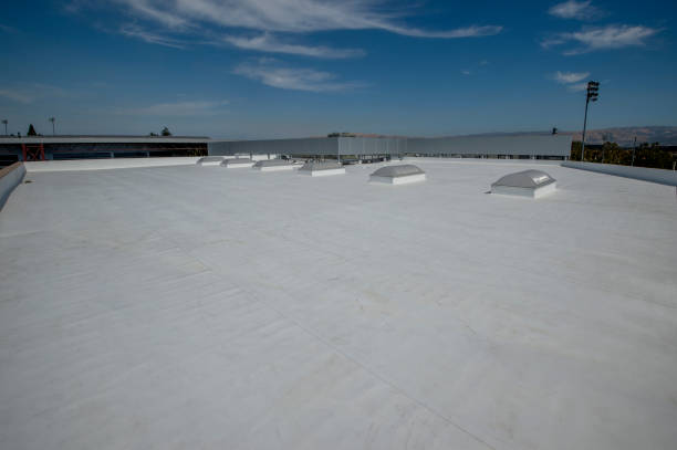 Best Steel Roofing  in Crest View Heights, NY